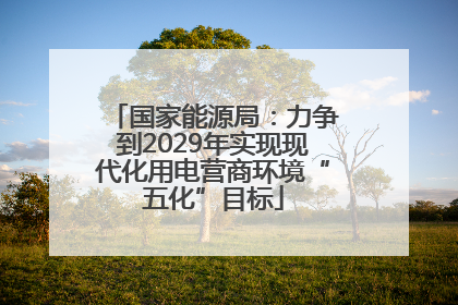 国家能源局：力争到2029年实现现代化用电营商环境“五化”目标