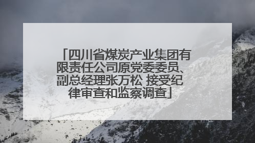 四川省煤炭产业集团有限责任公司原党委委员、副总经理张万松 接受纪律审查和监察调查