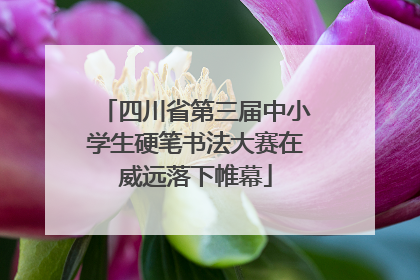 四川省第三届中小学生硬笔书法大赛在威远落下帷幕