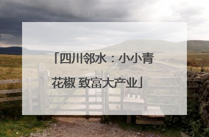 四川邻水：小小青花椒 致富大产业