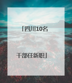 四川10名干部任新职