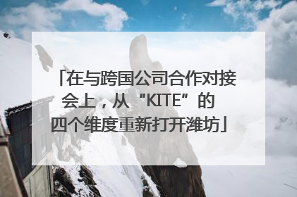 在与跨国公司合作对接会上，从“KITE”的四个维度重新打开潍坊