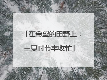 在希望的田野上：三夏时节丰收忙