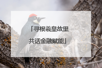 寻根羲皇故里 共话金融赋能