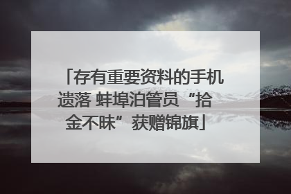 存有重要资料的手机遗落 蚌埠泊管员“拾金不昧”获赠锦旗