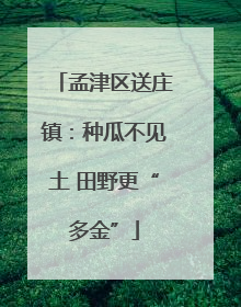 孟津区送庄镇：种瓜不见土 田野更“多金”
