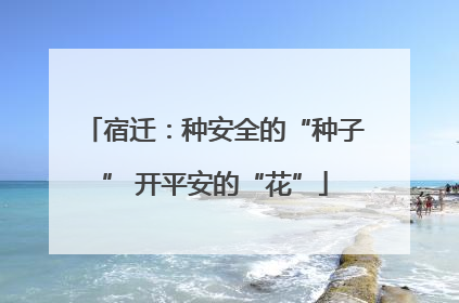 宿迁：种安全的“种子” 开平安的“花”