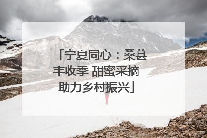 宁夏同心：桑葚丰收季 甜蜜采摘助力乡村振兴
