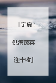 宁夏：供港蔬菜迎丰收