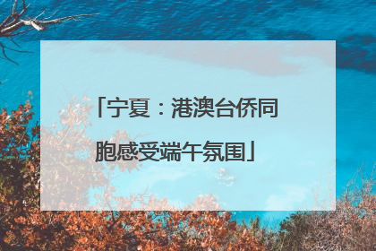 宁夏：港澳台侨同胞感受端午氛围