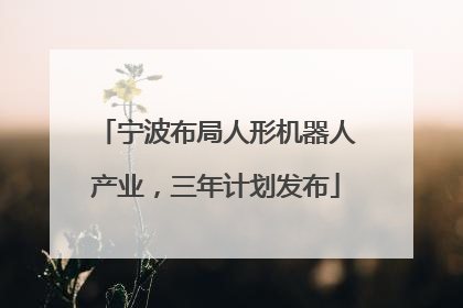 宁波布局人形机器人产业，三年计划发布