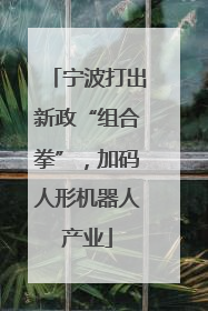 宁波打出新政“组合拳”，加码人形机器人产业