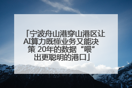 宁波舟山港穿山港区让AI算力既懂业务又能决策 20年的数据“喂”出更聪明的港口