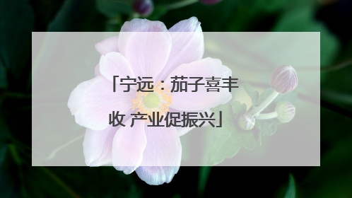 宁远：茄子喜丰收 产业促振兴