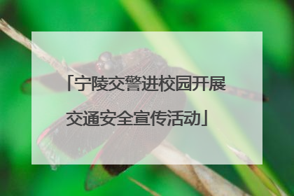宁陵交警进校园开展交通安全宣传活动