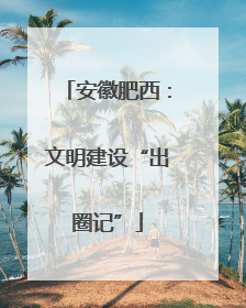 安徽肥西：文明建设“出圈记”