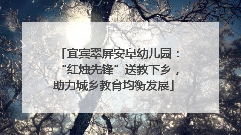 宜宾翠屏安阜幼儿园：“红烛先锋”送教下乡，助力城乡教育均衡发展
