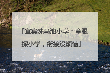 宜宾洗马池小学：童眼探小学，衔接没烦恼