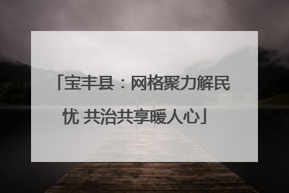 宝丰县：网格聚力解民忧 共治共享暖人心