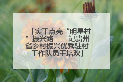 实干点亮“明星村”振兴路——记贵州省乡村振兴优秀驻村工作队员王培欢