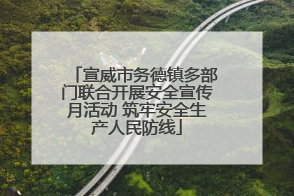 宣威市务德镇多部门联合开展安全宣传月活动 筑牢安全生产人民防线