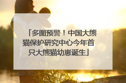 多图预警！中国大熊猫保护研究中心今年首只大熊猫幼崽诞生