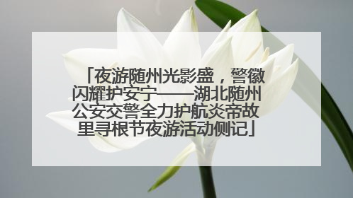夜游随州光影盛，警徽闪耀护安宁——湖北随州公安交警全力护航炎帝故里寻根节夜游活动侧记