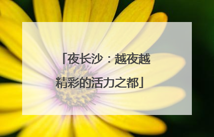 夜长沙：越夜越精彩的活力之都