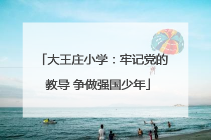 大王庄小学：牢记党的教导 争做强国少年