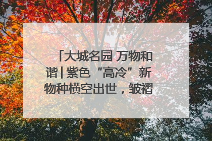 大城名园 万物和谐│紫色“高冷”新物种横空出世，皱褶叶片暗藏进化密码