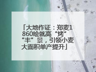 大地作证：郑麦1860绘就高“烤”“丰”景，引领小麦大面积单产提升