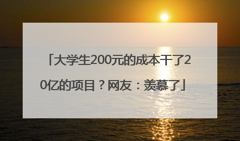 大学生200元的成本干了20亿的项目？网友：羡慕了