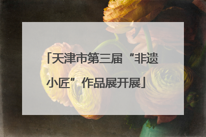 天津市第三届“非遗小匠”作品展开展