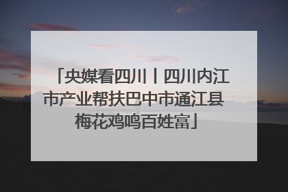 央媒看四川丨四川内江市产业帮扶巴中市通江县 梅花鸡鸣百姓富