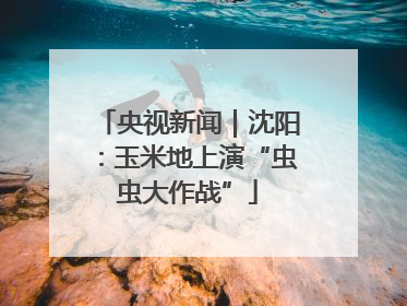 央视新闻｜沈阳：玉米地上演“虫虫大作战”