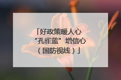 好政策暖人心 “孔雀蓝”增信心（国防视线）