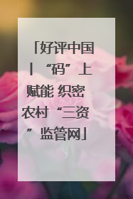 好评中国丨“码”上赋能 织密农村“三资”监管网