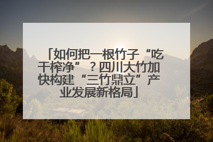 如何把一根竹子“吃干榨净”？四川大竹加快构建“三竹鼎立”产业发展新格局
