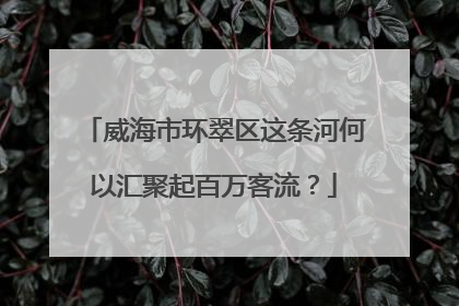 威海市环翠区这条河何以汇聚起百万客流？