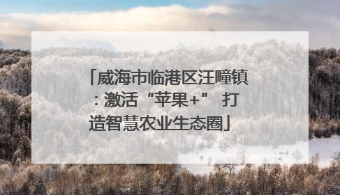 威海市临港区汪疃镇：激活“苹果+” 打造智慧农业生态圈