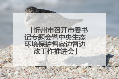 忻州市召开市委书记专题会暨中央生态环境保护督察边督边改工作推进会