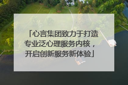 心言集团致力于打造专业泛心理服务内核，开启创新服务新体验