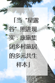 当“星露谷”照进现实：康旅集团乡村旅居的多元共生样本