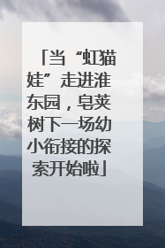 当“虹猫娃”走进淮东园，皂荚树下一场幼小衔接的探索开始啦