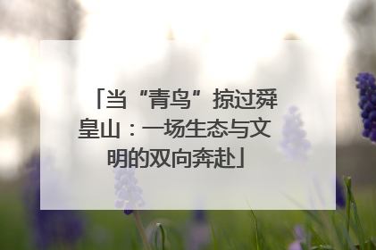当“青鸟”掠过舜皇山：一场生态与文明的双向奔赴