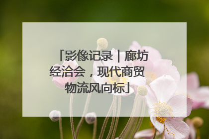 影像记录｜廊坊经洽会，现代商贸物流风向标
