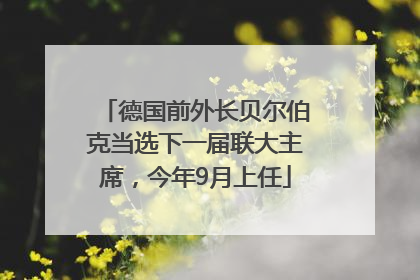 德国前外长贝尔伯克当选下一届联大主席，今年9月上任