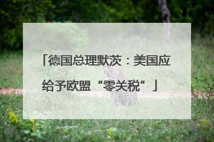 德国总理默茨：美国应给予欧盟“零关税”