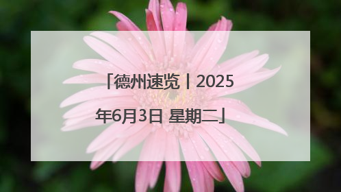德州速览丨2025年6月3日 星期二