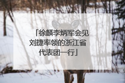 徐麟李炳军会见刘捷率领的浙江省代表团一行